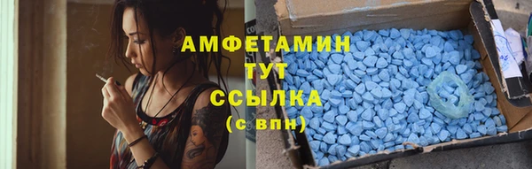 крисы Абаза
