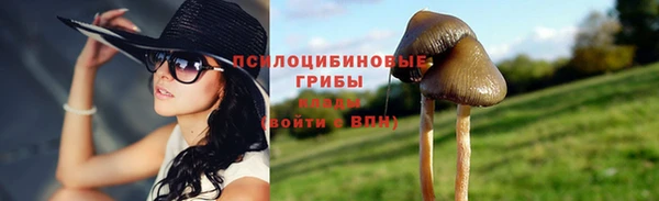 трава Абдулино